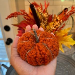Mini Crochet Pumpkin / Fall Decor